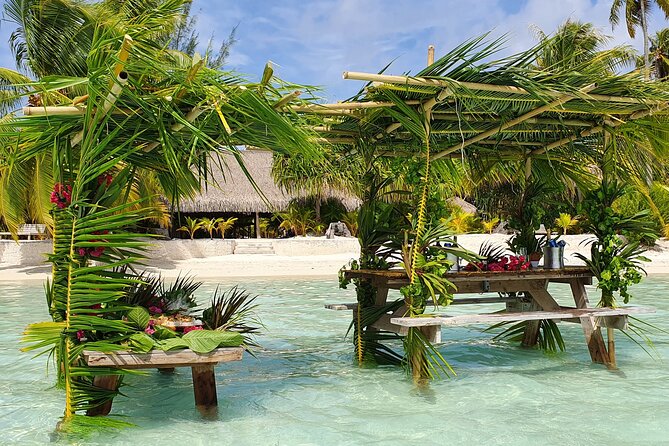 Reef Discovery Private Full Day Lagoon Tour & Water Lunch - Key Highlights You Will Feel Right Away