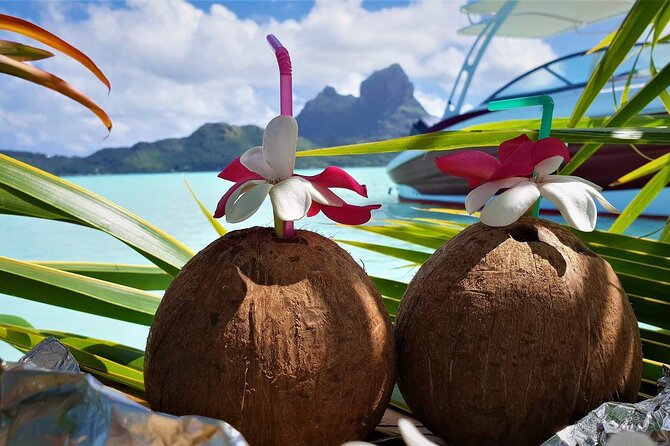 Reef Discovery Private Full Day Lagoon Tour & Water Lunch - The One Big Consideration: Price and Weather Depend on Your Plan