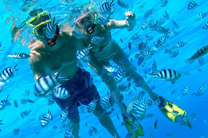 Reef Discovery Private Half Day Lagoon Tour - Meet Your Captain and the On-Board Touches (Clean Boat, Snacks, Drinks)