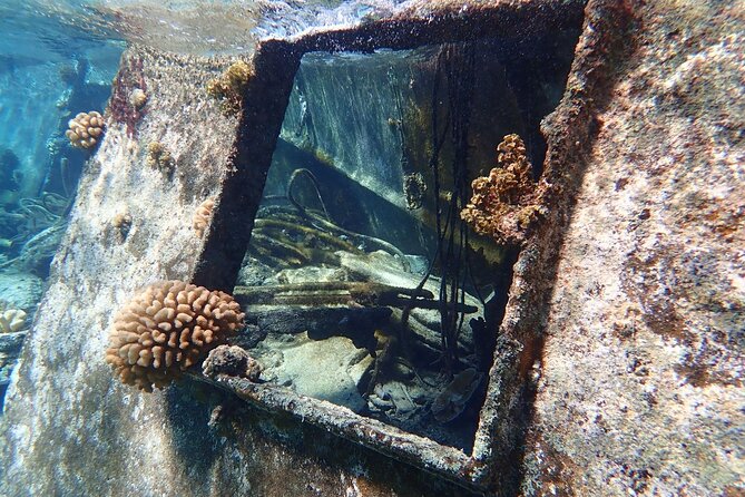 Reef Discovery Private Treasure Hunt - Snorkeling Gear Included, So You Do Less Packing