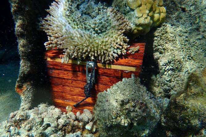 Reef Discovery Private Treasure Hunt - Pickup in Bora Bora, and Why It Affects Your Day