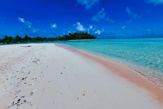 REEF ISLAND | private island | pink sand | natural swimming pools - Timing that works: the 8-hour flow from Ohotu to the reef and back