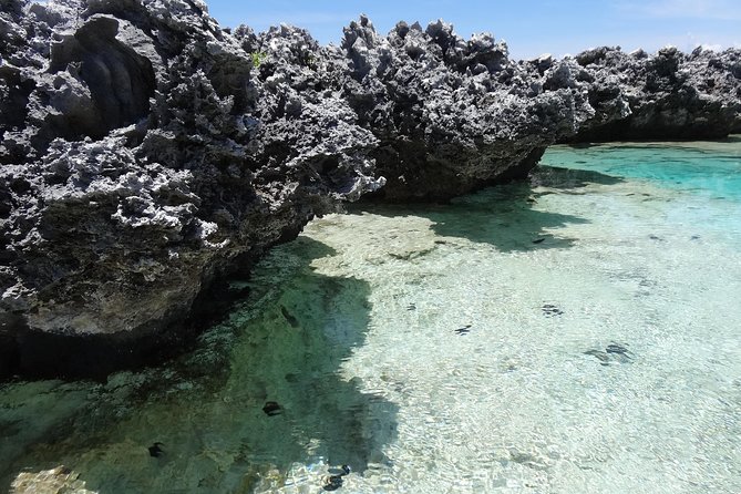 REEF ISLAND | private island | pink sand | natural swimming pools - Price and value: what $139.68 buys you in a long, full day