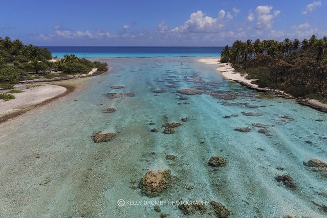 REEF ISLAND | private island | pink sand | natural swimming pools - The boat ride reality: swell, seasickness, and how to be ready