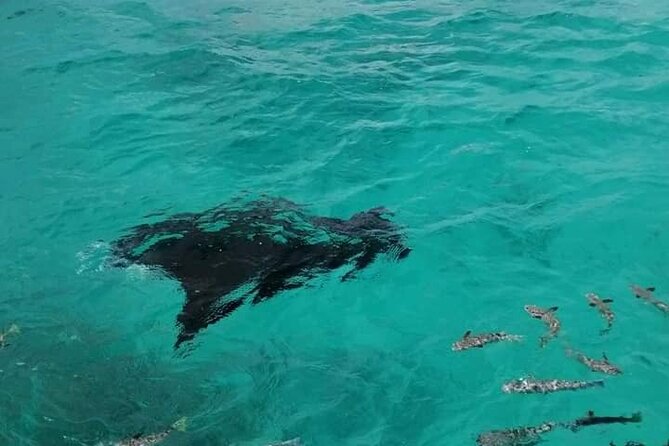 Reef island private tour - Morning pickup and the atoll crossing, what to expect before the fun