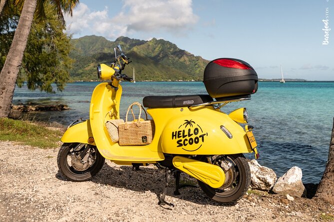 Respectful whale excursion to Tahiti in 4h30 - Going Into the Water: Snorkel Gear, Life Jackets, and What to Expect