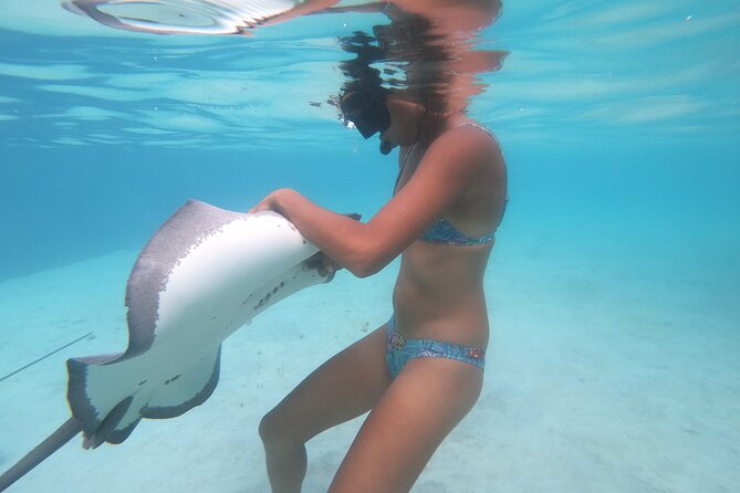 Respectful whale excursion to Tahiti in 4h30 - The Included Snacks and Drinks Are Part of the Value
