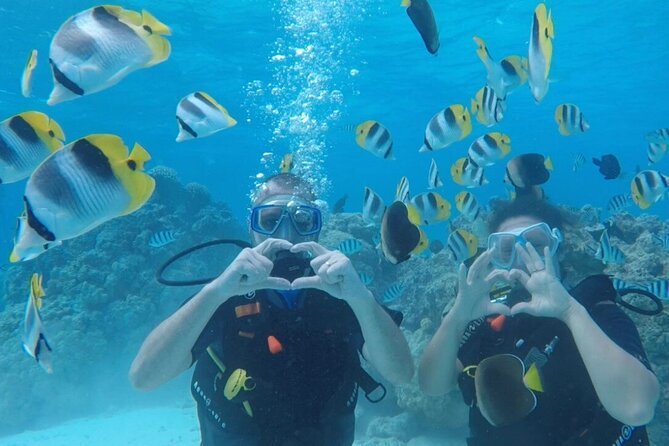 Romantic Dive for beginners in Bora Bora (2 people) with Video - Key Things That Make This Romantic Beginner Session Worth Your Time