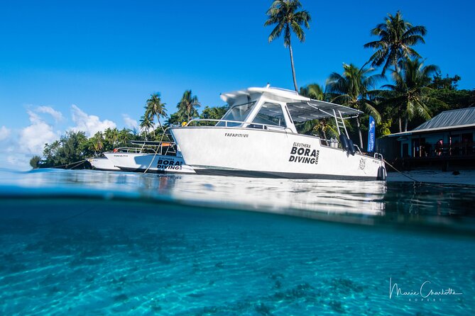 Romantic Dive for beginners in Bora Bora (2 people) with Video - The Black Pearl Souvenir: A Fun Take-Home Detail