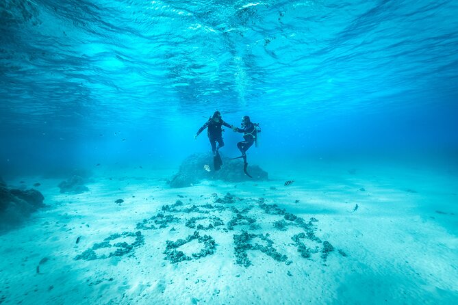 Romantic dive in the lagoon of Bora Bora. Private instructor on a shared boat - Key highlights to know before you go