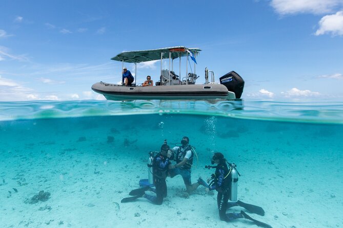 Romantic dive in the lagoon of Bora Bora. Private instructor on a shared boat - A shared boat ride, then truly private coaching