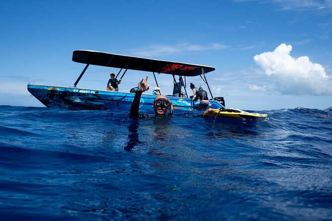 Sacred Experience Swimming with a Whale in Moorea - The six-person whale swim that keeps things calm