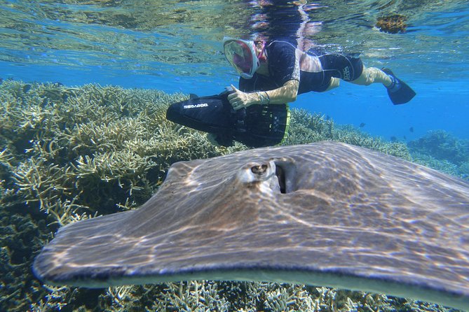 Sea Scooter Jet Snorkeling "Moorea Dream Adventure" - The Photo and Video Question, Plan for the End-of-Tour Sales