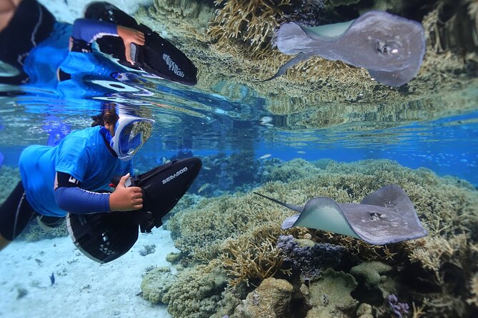 Sea Scooter Jet Snorkeling "Moorea Dream Adventure" - Practical Tips That Make the Morning Smoother