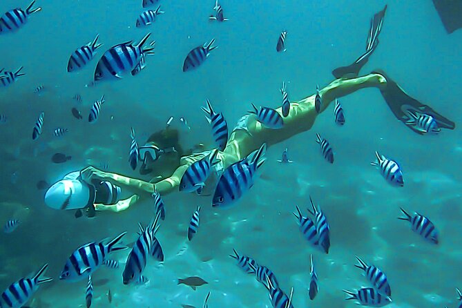 Sea Scooter Snorkel Tour - Lagoon Discovery : Wrecks, Coral Gardens and Tropical Fishies - Key Points Before You Go