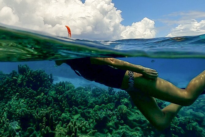 Sea Scooter Snorkel Tour - Lagoon Discovery : Wrecks, Coral Gardens and Tropical Fishies - Who This Tour Fits Best (Families, First-Timers, and Short-Trip Travelers)