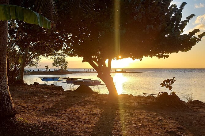 Shared 4.5h Circle Island Tour of Tahiti Nui by Lydia - Stop 5: Taharuu Beach, Surf Waves, and the Coral Story