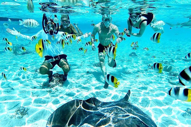 SHARED HALF DAY LAGOON TOUR - Bora Bora Cultural Lagoon Tour - Key Highlights to Know Before You Go