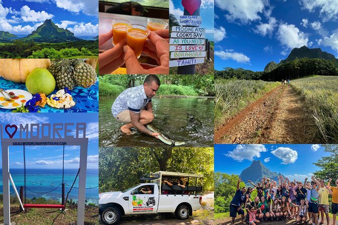 Shared Transfer: Hotel or Cruise Port to Tahiti Airport - What the $30 price buys you, and when it may feel overpriced
