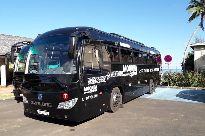 Shared Transfer : Hotel to Moorea Airport (or) Pier - The Ride Comfort: Air-Conditioned, With Real Space for Bags