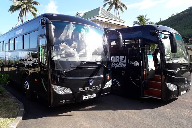 Shared Transfer : Moorea Airport (or) Pier to Hotel - Shared transfer in Moorea: why this simple ride is worth your time