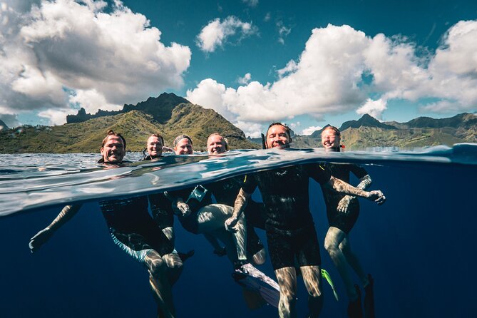 Shared Whale Expedition - Moorea Marina start, the 4-hour rhythm, and pickup