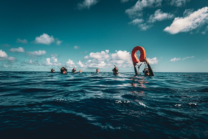 Shared Whale Expedition - Price, value, and when this shared tour is a smart fit