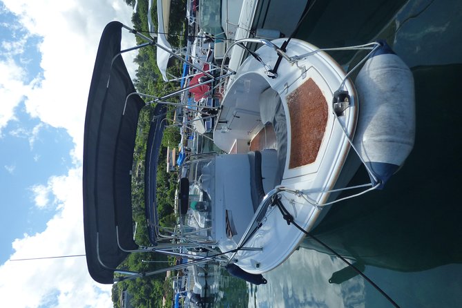 Small group snorkeling (5 people max): Turtles at 7:30am - Captain Benoit’s Marine Life Teaching Style (and Why That Changes the Trip)