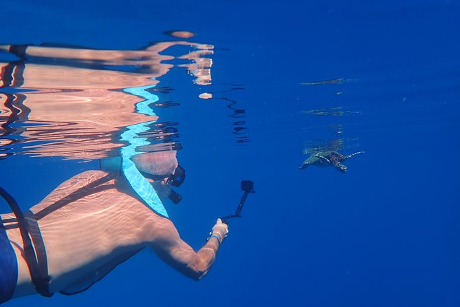 Small group snorkeling (5 people max): Turtles at 7:30am - Who This 7:30am Turtle Snorkel Is Best For