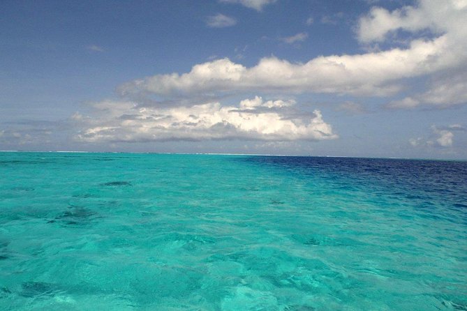 Small group snorkeling (5 people max): wrecks & tropical fishes at 1:00pm - Why the Small Group (5 Max) Changes Everything