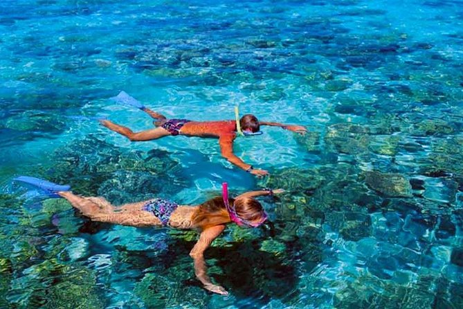 Small group snorkeling (5 people max): wrecks & tropical fishes at 1:00pm - Gear and Comfort: What’s Provided and What to Bring