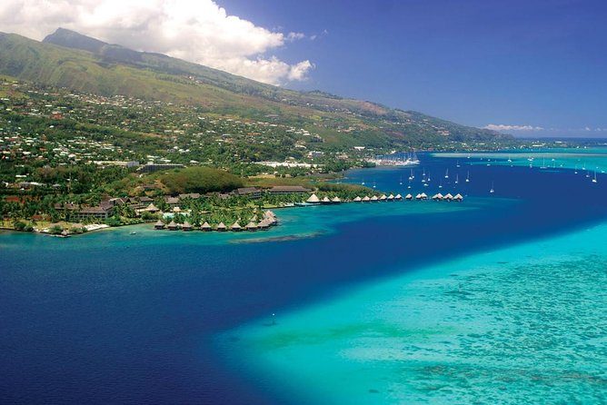 Small group snorkeling (5 people max): wrecks & tropical fishes at 10:30am - The Aquarium wrecks: wrecks plus reef, not just a photo stop