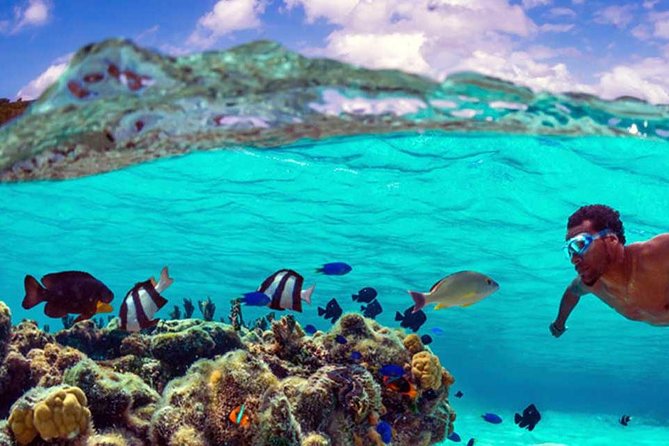Small group snorkeling (5 people max): wrecks & tropical fishes at 10:30am - Weather reality check: wind can change how much you snorkel
