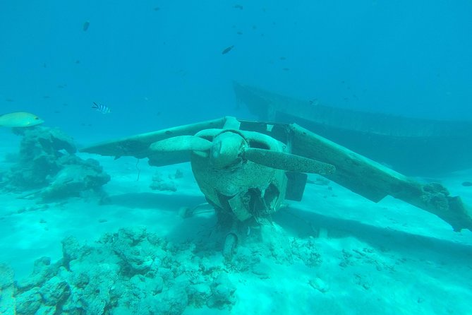 Small group snorkeling (5 people max): wrecks & tropical fishes at 3:30pm - Key things to know before you go