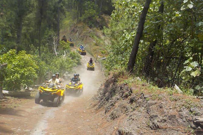 Small Magic Combo 3h30 of Quad + 1H00 of Jetski - Local jam stops: pineapple tastings and Fare Tutava fruit breaks