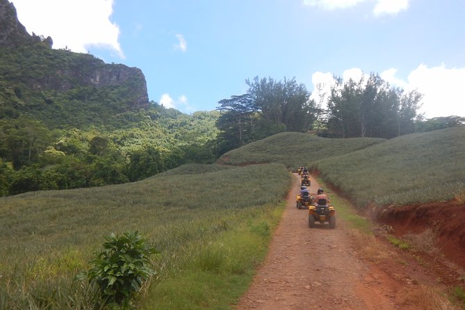 Small Magic Combo 3h30 of Quad + 1H00 of Jetski - Quad time: pineapple fields, bays, and the big “how did we get up there” moments