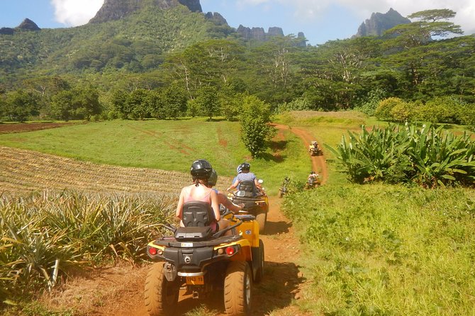 Small Quad Tour 2h30 Quad excursion in Moorea (single or two-seater) - Fare Tutava: The Homemade Jam and Fruit Moment