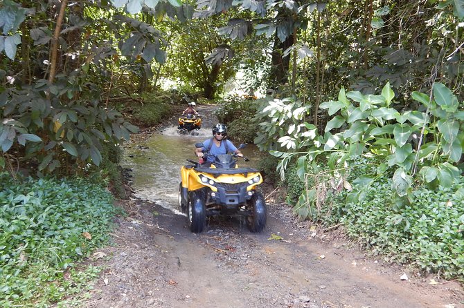 Small Quad Tour 2h30 Quad excursion in Moorea (single or two-seater) - Price and Value: Why $114.18 Can Still Feel Like a Good Deal