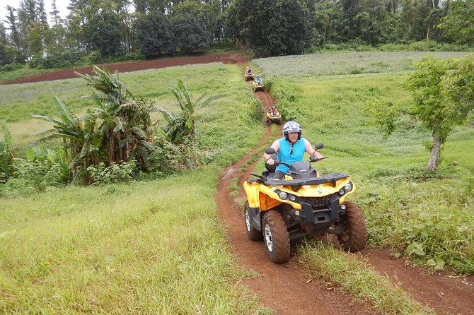Small Quad Tour 2h30 Quad excursion in Moorea (single or two-seater) - The Real Ride: Asphalt, Valleys, and a Little River Fun