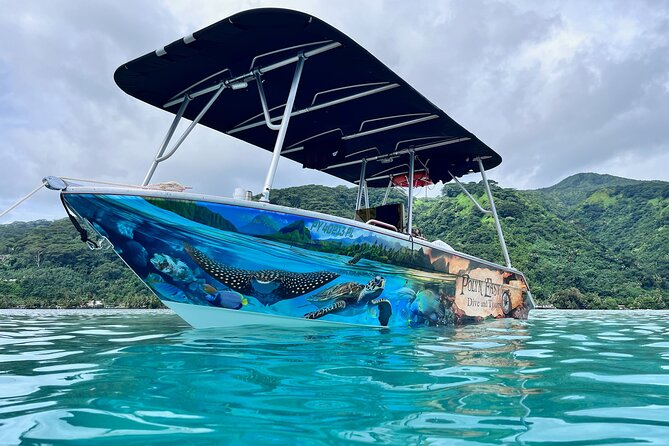 Snorkeling EN Small Group Tour in Tahiti - Stop 1: Punaauia at Dawn, Long-Billed Dolphins in the Bay of Fishermen