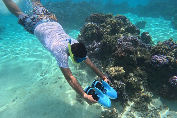 Snorkeling EN Underwater Scooter in Tahiti - Key Things to Know Before You Go
