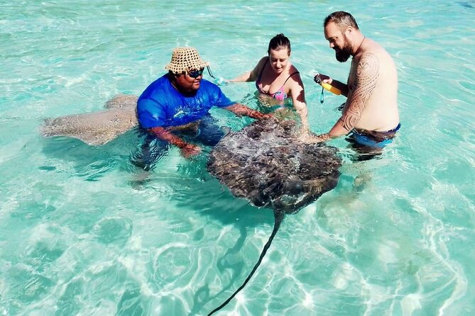 Snorkeling excursion and encounter with marine fauna in Moorea - Meeting at Quai des croisières and timing your 9:00 start
