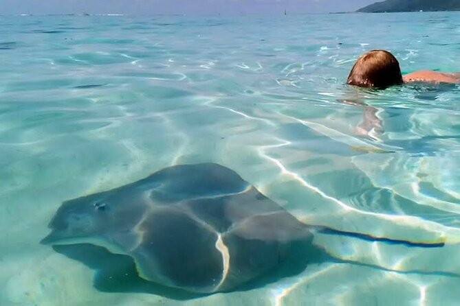 Snorkeling excursion and encounter with marine fauna in Moorea - Lunch with your feet in the water, plus rays around the table