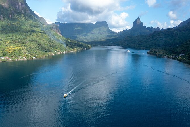 Snorkeling excursion and encounter with marine fauna in Moorea - Price and value: what $131.18 buys you for six hours
