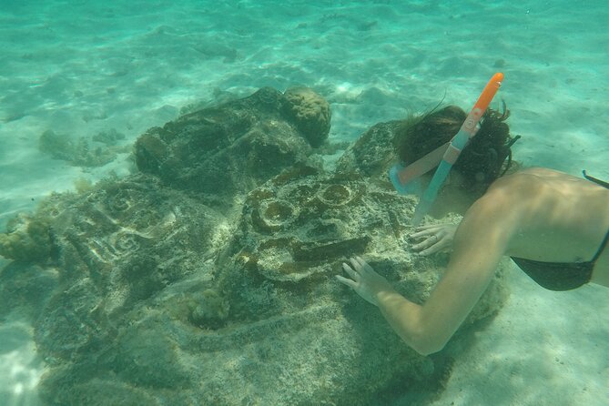 Snorkeling excursion and encounter with marine fauna in Moorea - What to bring for Moorea water, because the essentials are on you