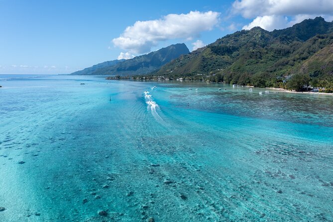 Snorkeling excursion and encounter with marine fauna in Moorea - The rhythm of the 6-hour outing, cruising then snorkeling then lunch