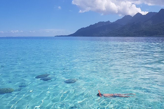 Snorkeling excursion, discovery of the lagoon, small group. - Why Small-Group Timing Matters in the Lagoon