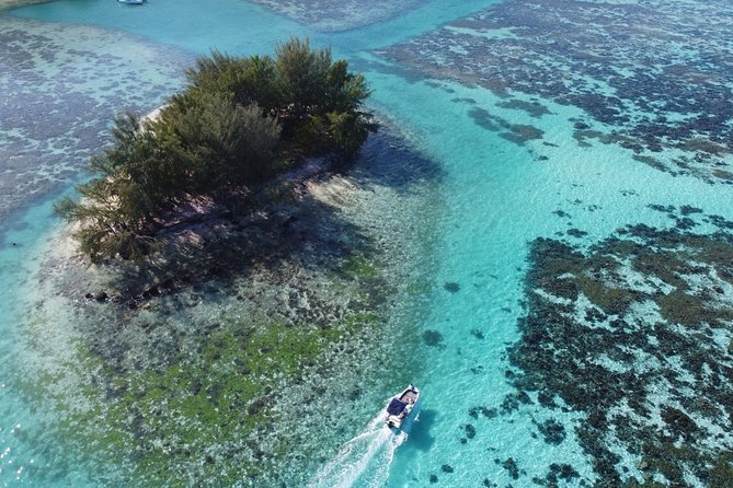 Snorkeling excursion, discovery of the lagoon, small group. - Gear, Comfort, and What to Pack for 4 Hours
