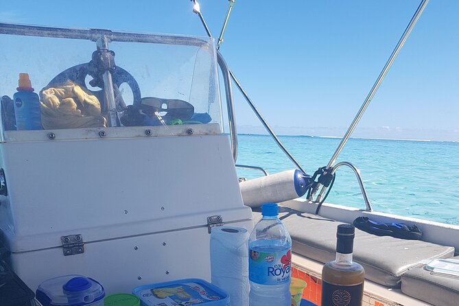 Snorkeling excursion, discovery of the lagoon, small group. - Getting to Fare Tokoau Moorea and Timing Your Arrival