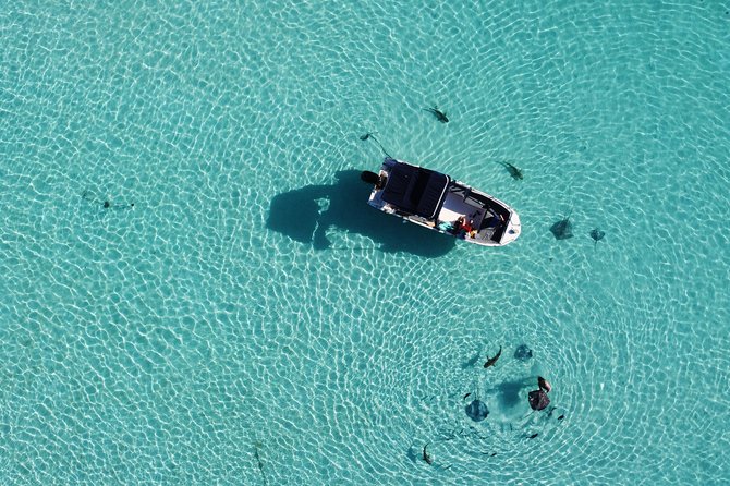 Snorkeling excursion, discovery of the lagoon, small group. - Who This Tour Suits Best